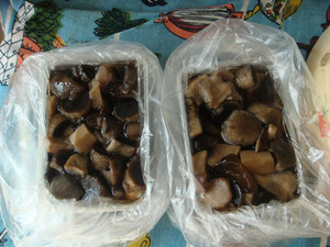 Замораживание грибов на зиму