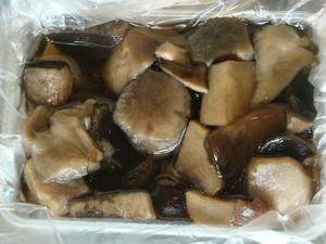 Замораживание грибов на зиму