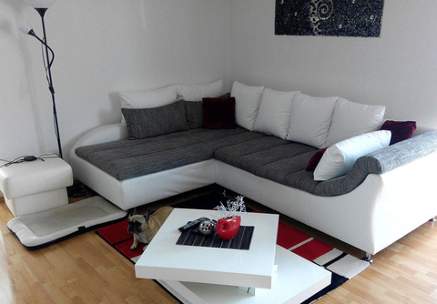 собака, мебельная обивка, диван