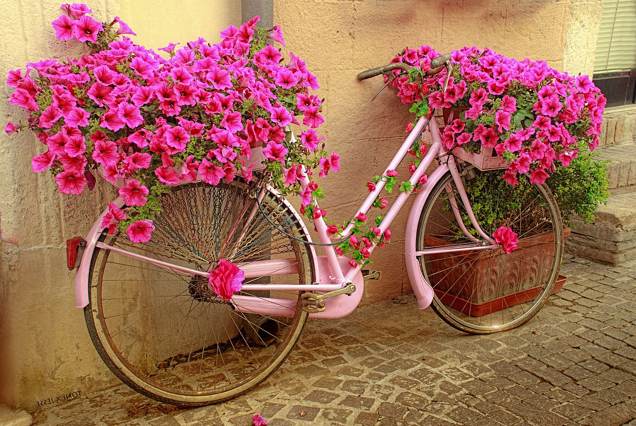 Декоративный велосипед для цветов - 66 фото