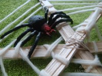 домик для паука